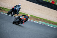 PJ-Motorsport-2019;donington-no-limits-trackday;donington-park-photographs;donington-trackday-photographs;no-limits-trackdays;peter-wileman-photography;trackday-digital-images;trackday-photos